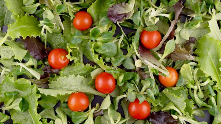 Desperte seu Paladar com Saladas Criativas e Nutritivas