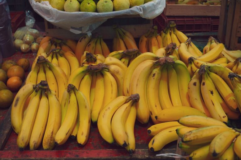 Alimente sua Mente: A Importância da Nutrição para a Saúde Mental